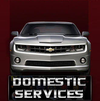 Domestic Services